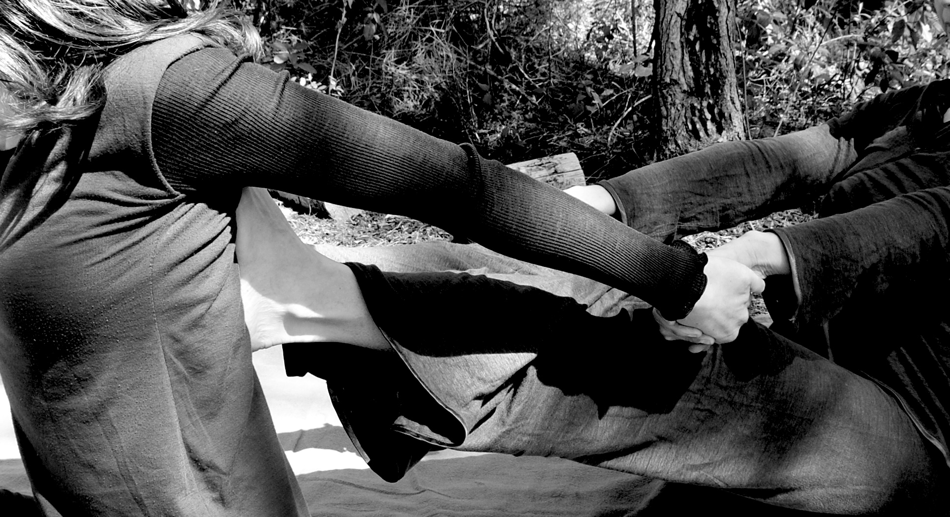 L'Élan de vie - Nuad Boran