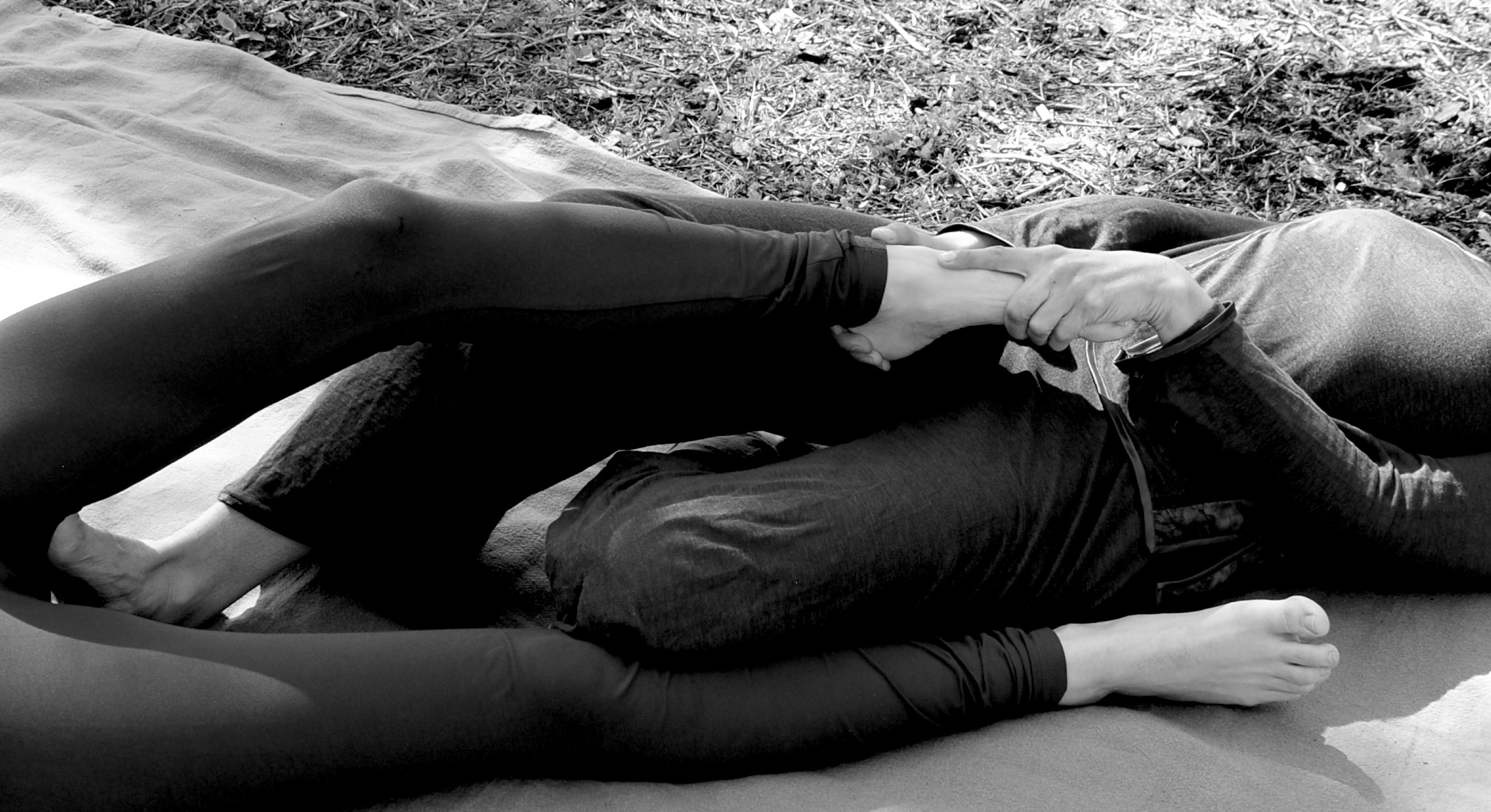 L'Élan de vie - Nuad Boran