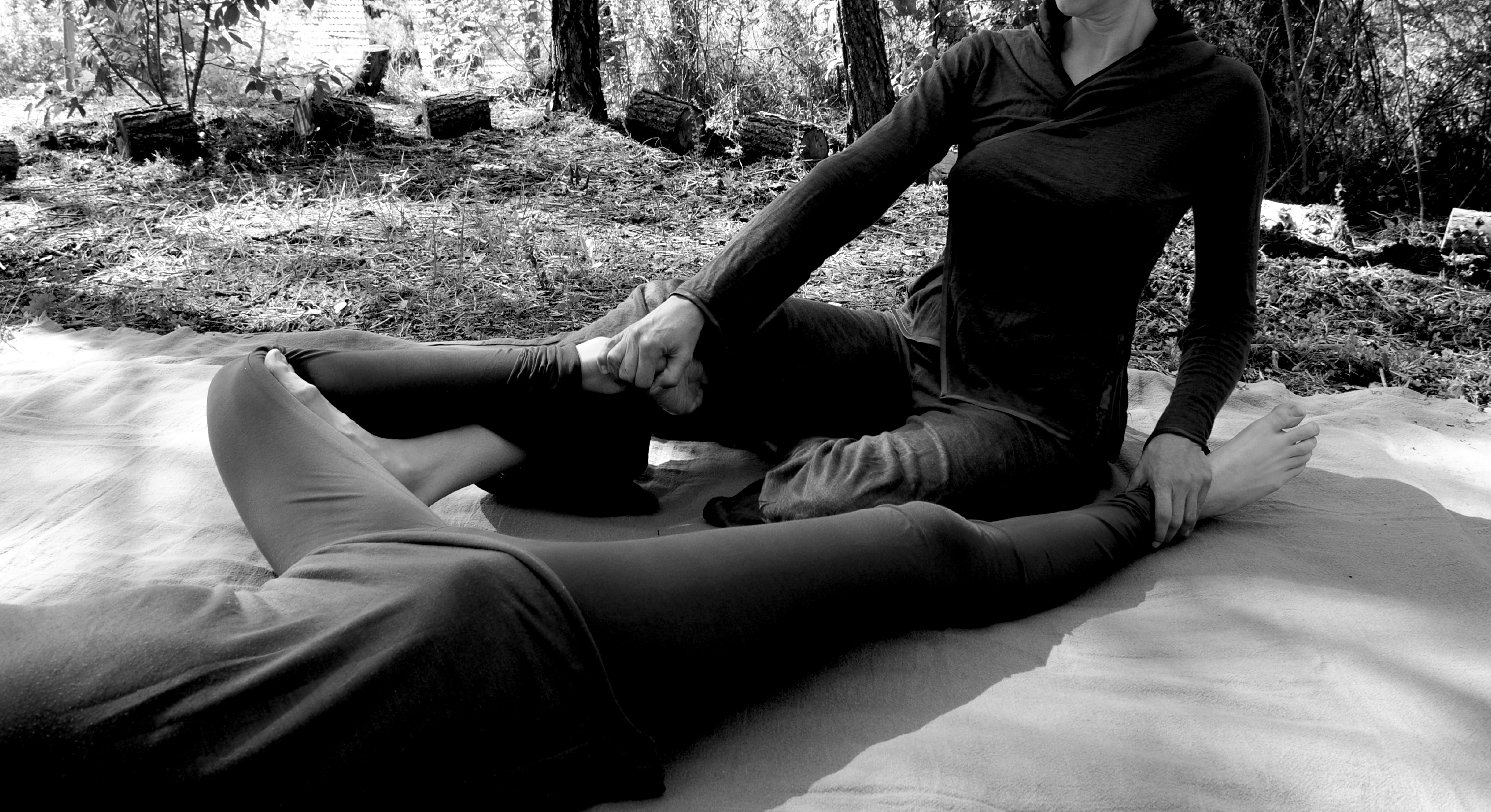 L'Élan de vie - Nuad Boran